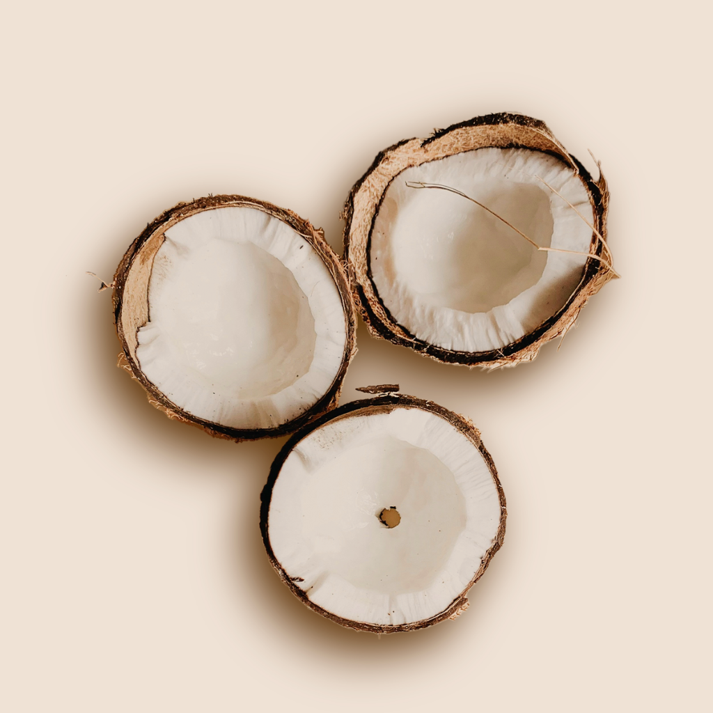 Aceite de coco en polvo