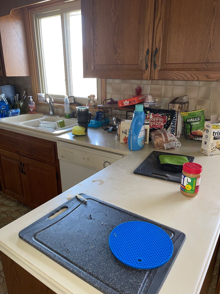 Kitchen Deep Clean - Before