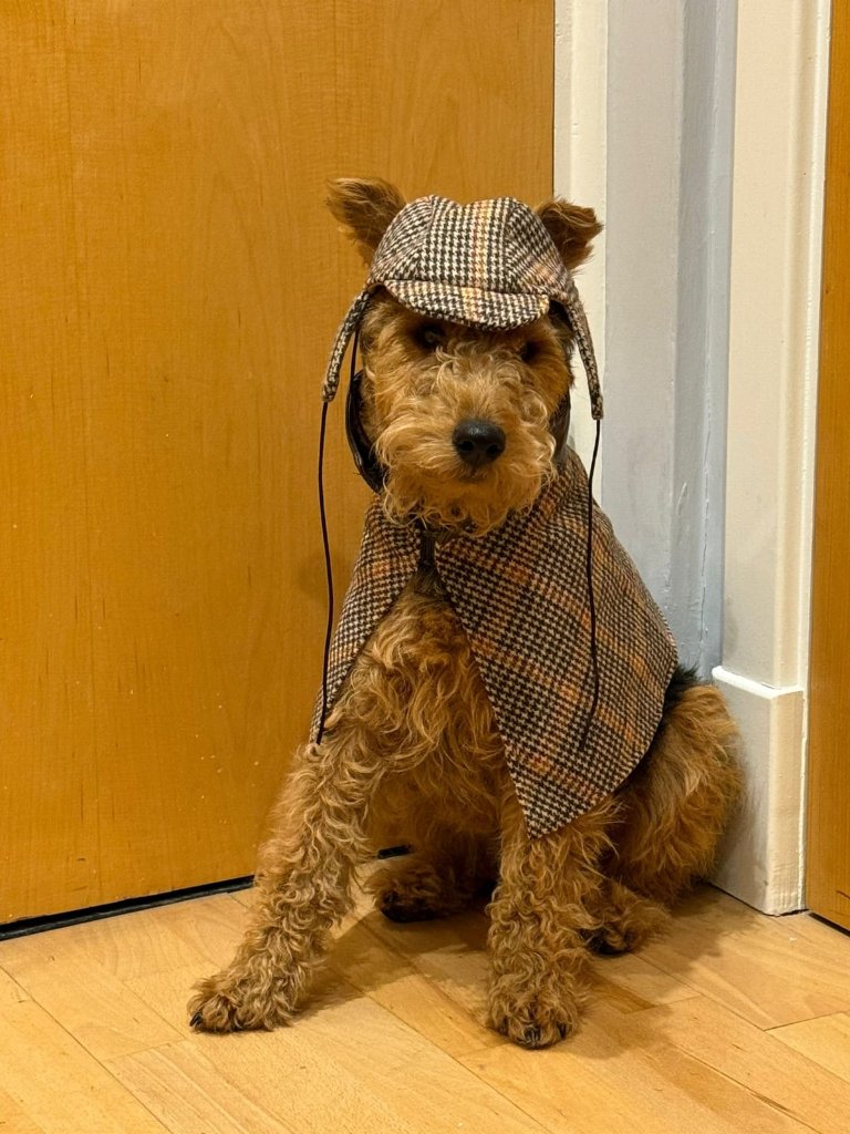 RF Canine client 24