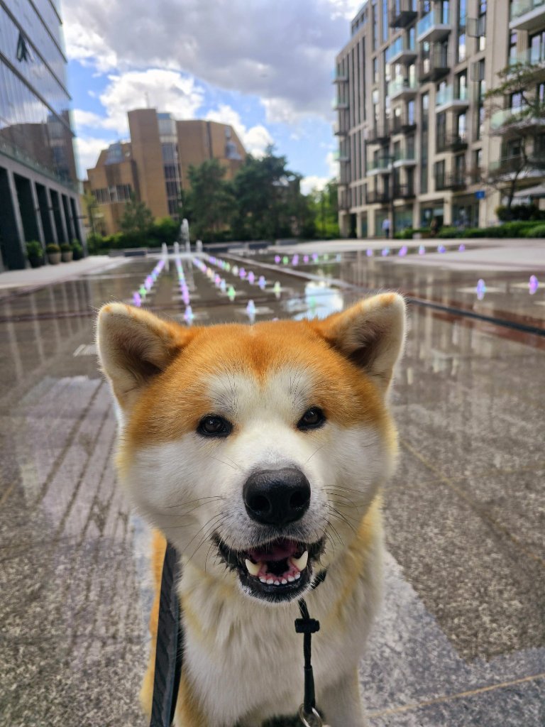RF Canine client 34