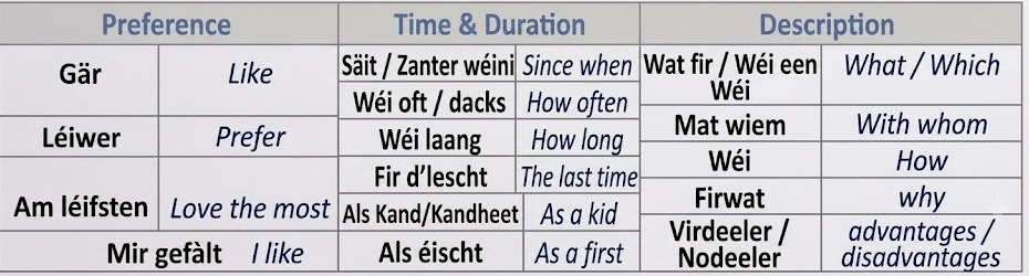 Most frequent Sproochentest question types: Preference, Time & Duration, Description
