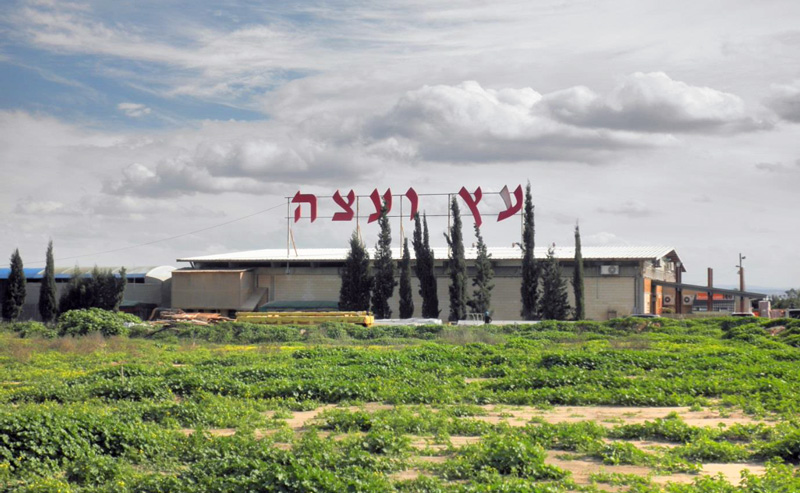 עץ ועצה - היסטוריה