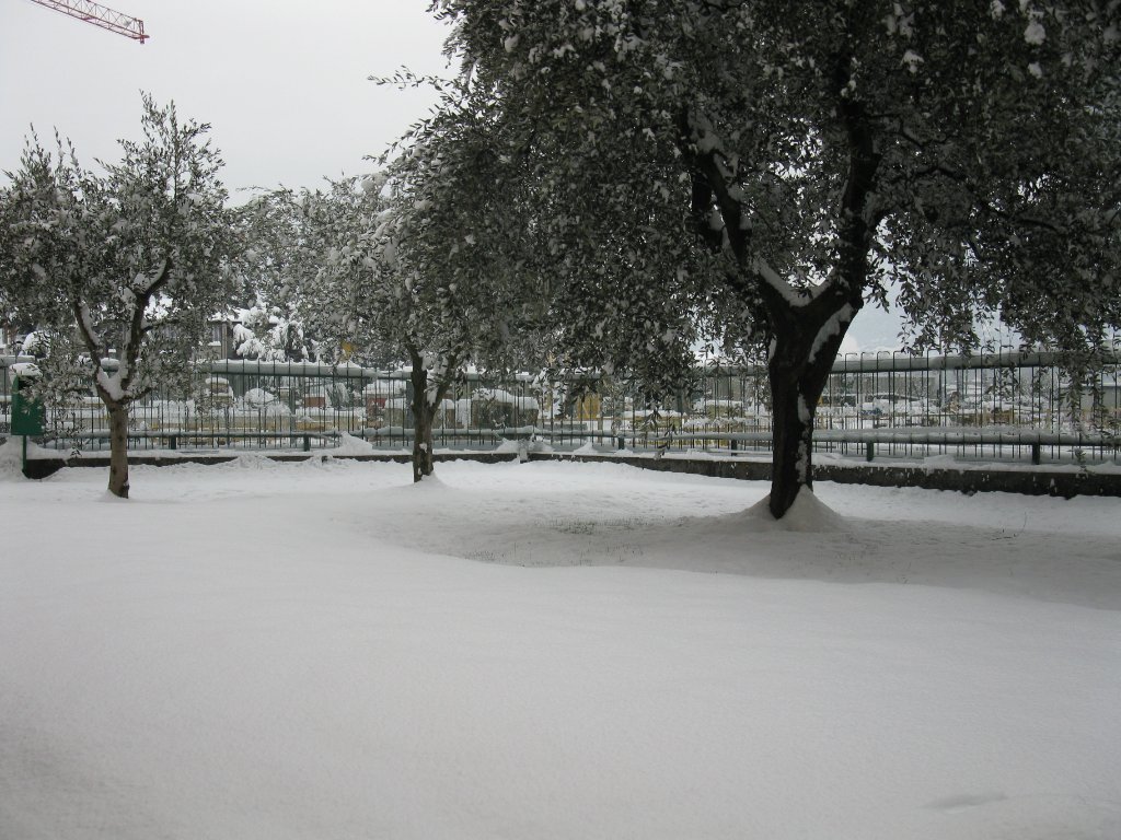 Gallery 11