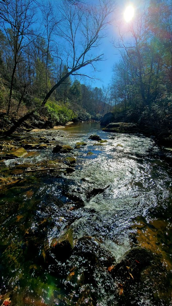 Creek in Sunlight