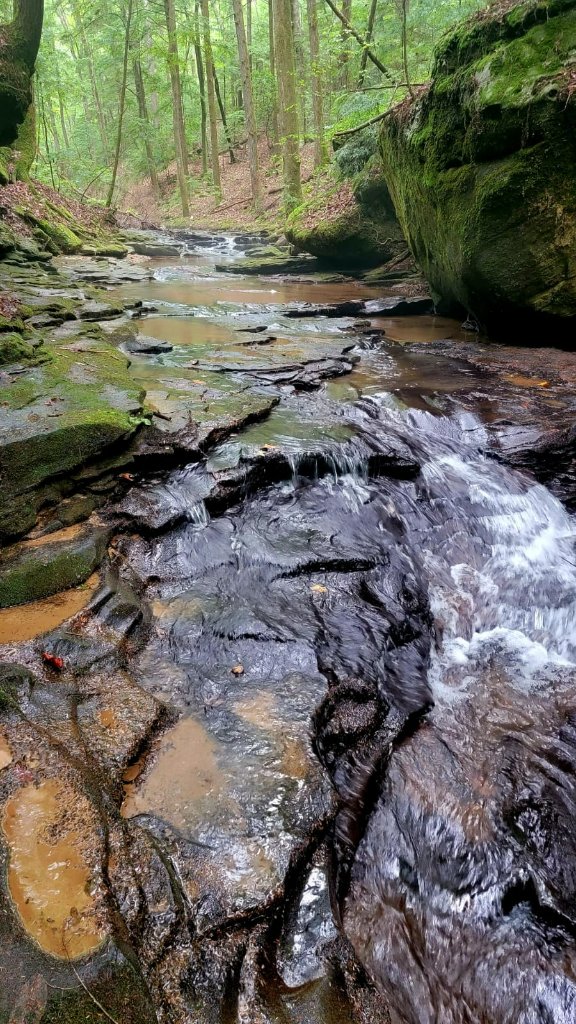 Moss-Covered Rocks