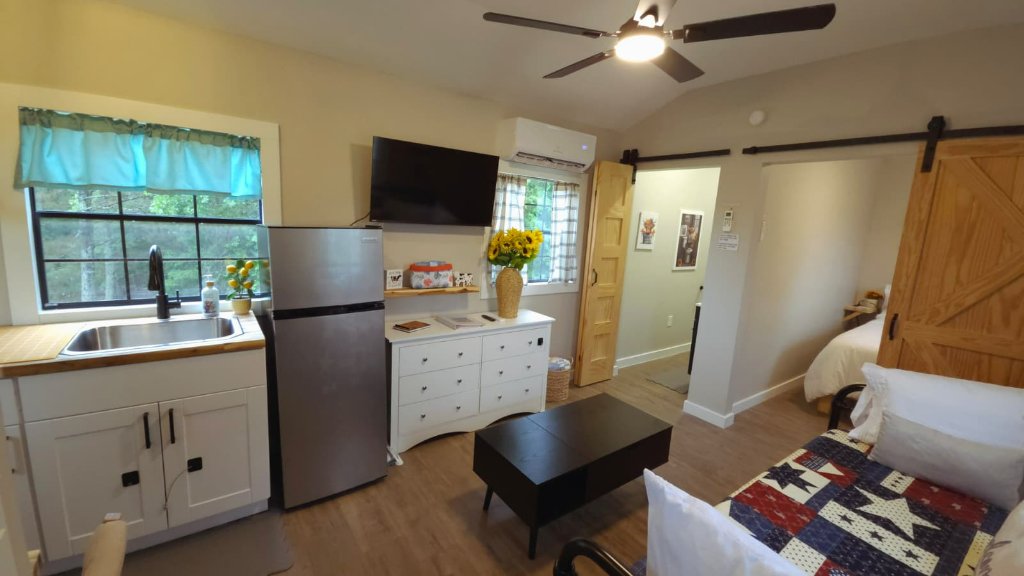 Living & Kitchen Area
