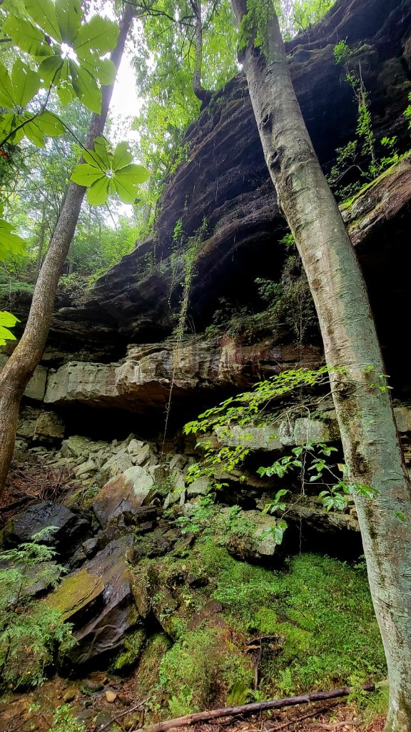 Cave Entrance