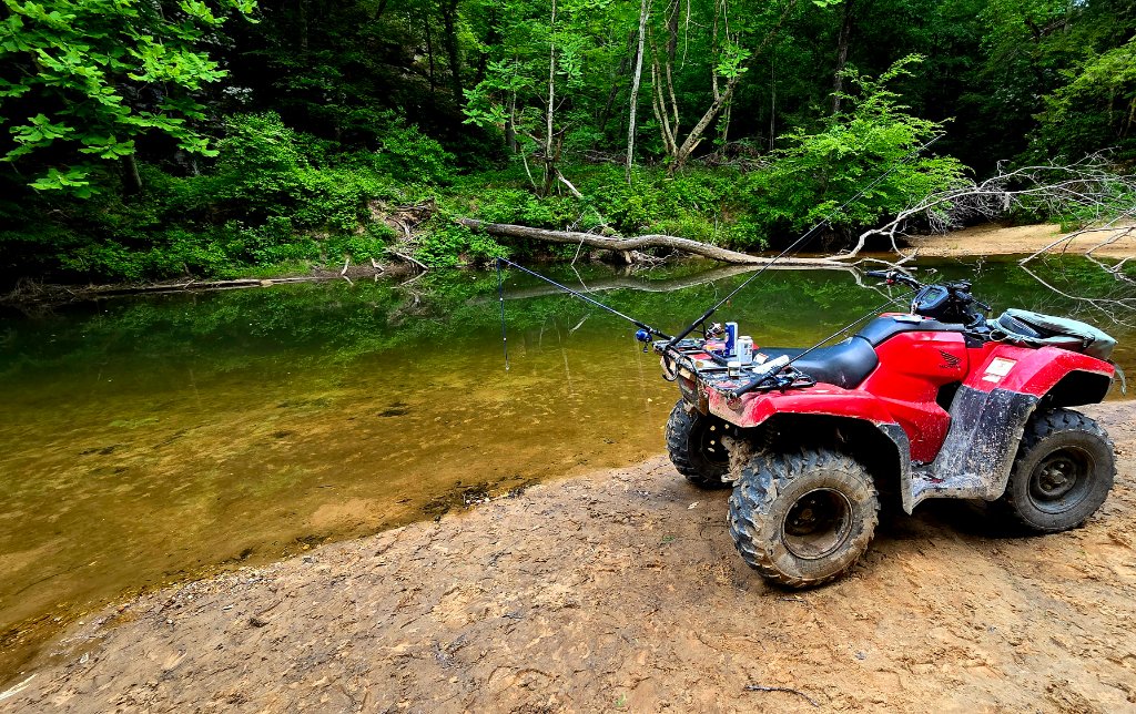 4-Hour Private Fishing Experience