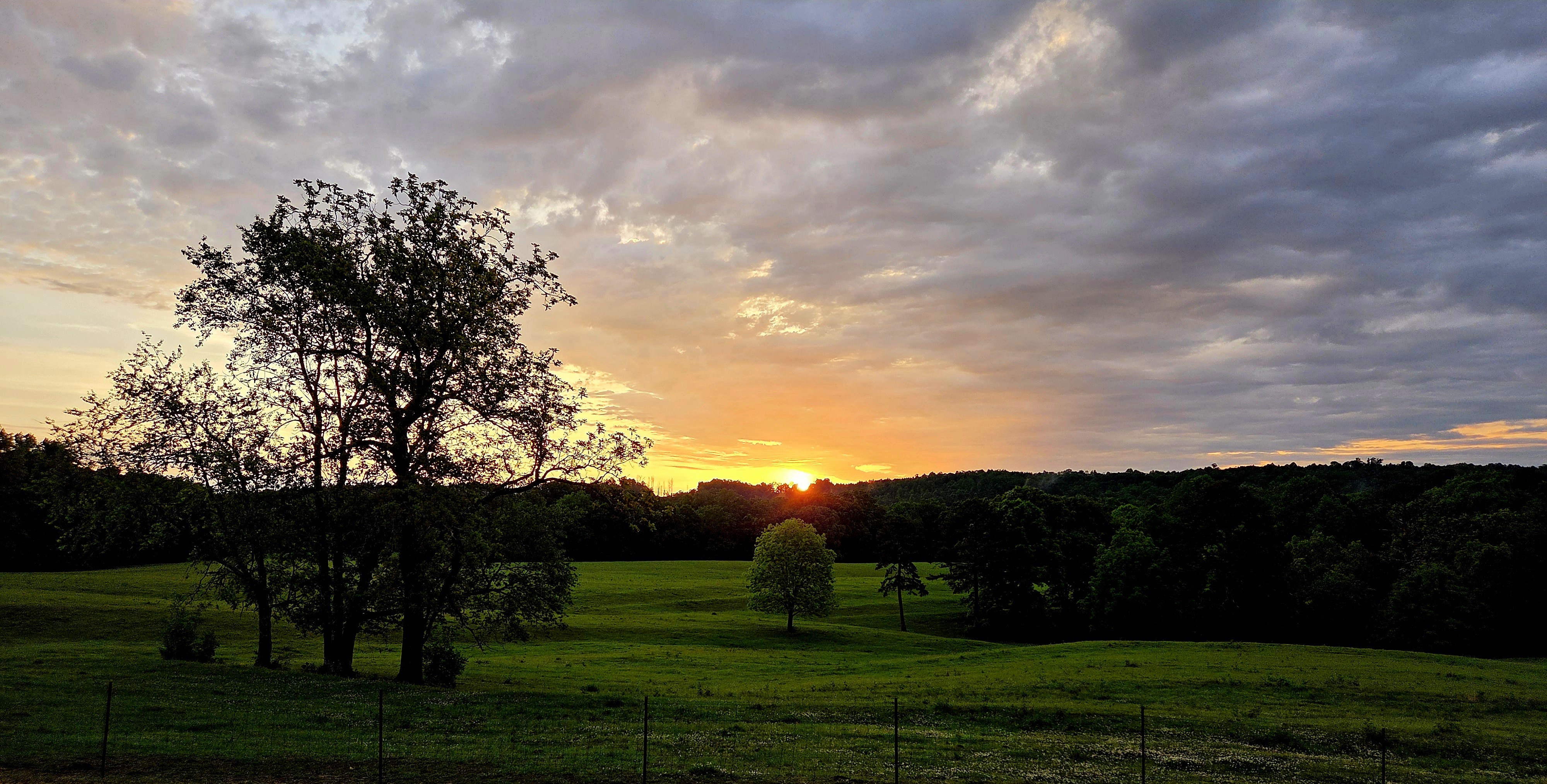 Modern tiny house sitting low in the Alabama landscape at golden hour