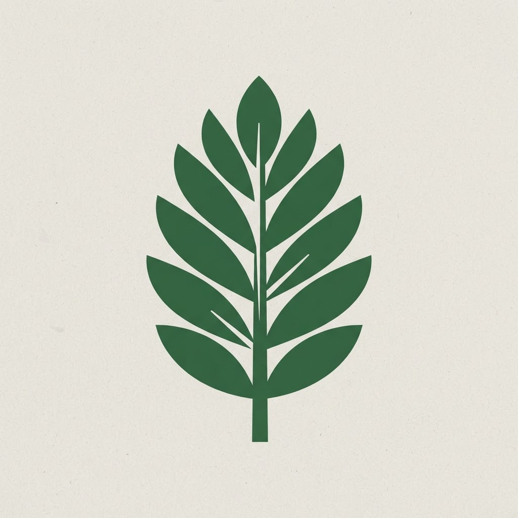 Camoes Institute University Scholarships (PALOP & Timor-Leste) — illustration