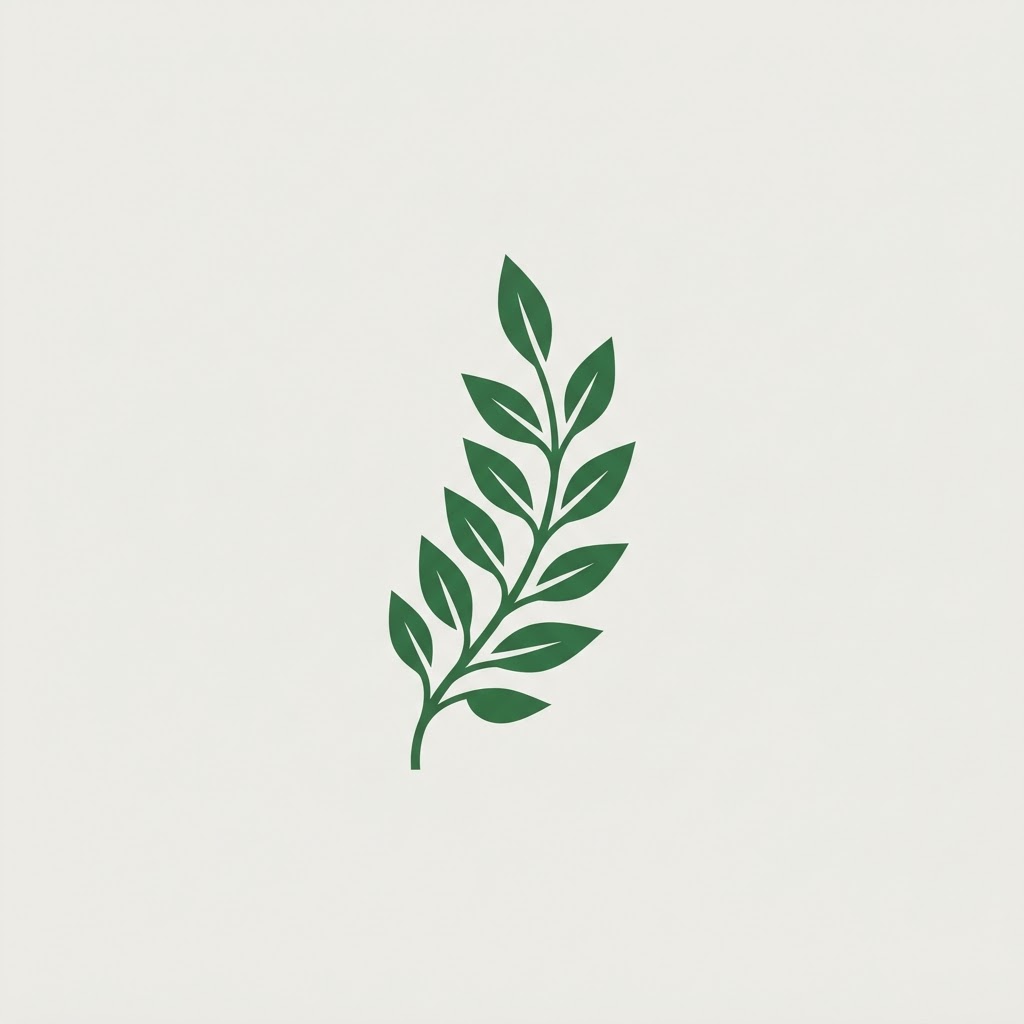 Tunisian Government Scholarship for International Students — illustration