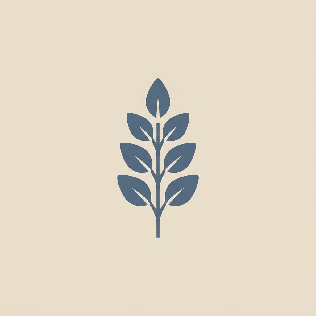 FSM State Government Scholarships — illustration