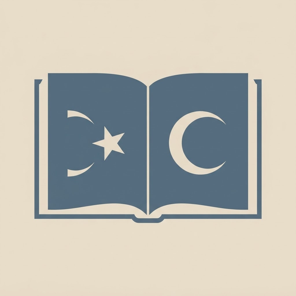 Hacettepe University Scholarships — illustration
