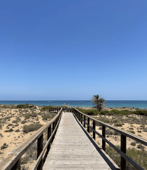 Alicante boardwalk
