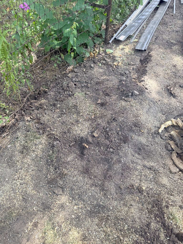 After: Near Fence