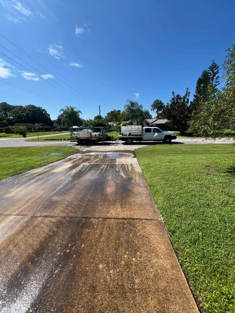 Driveway Cleaning - Before