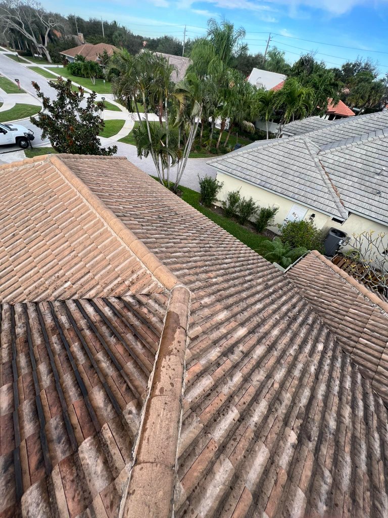Before — Roof Soft Washing