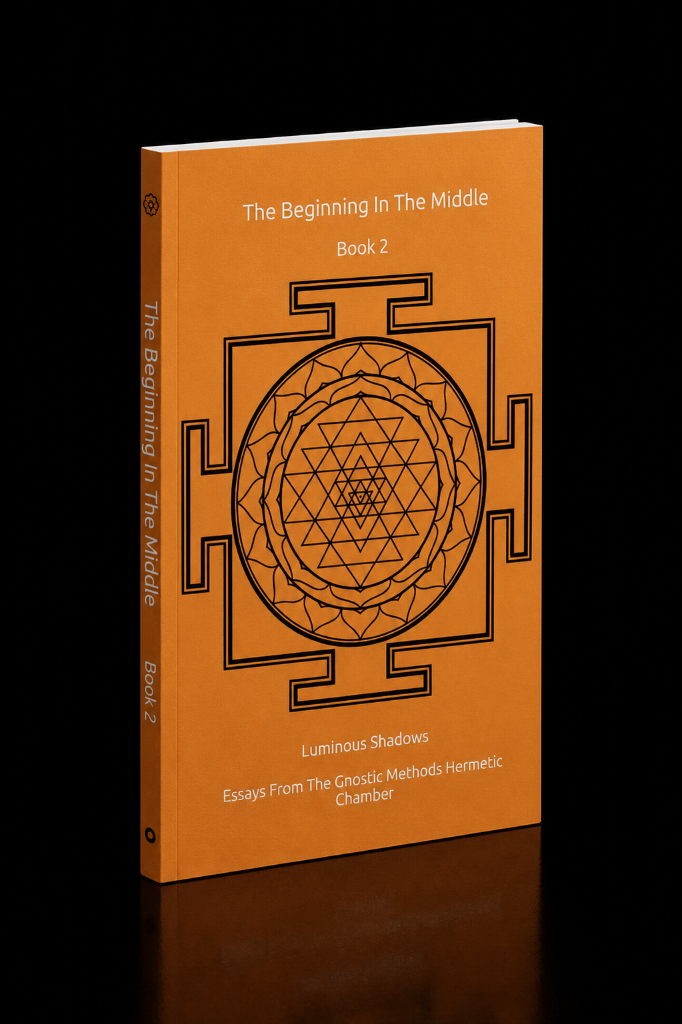 The Beginning In The Middle Book 2: Luminous Shadows