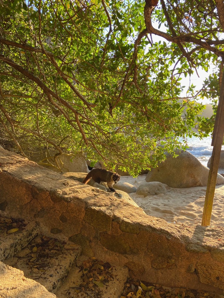 Las criaturas de la isla