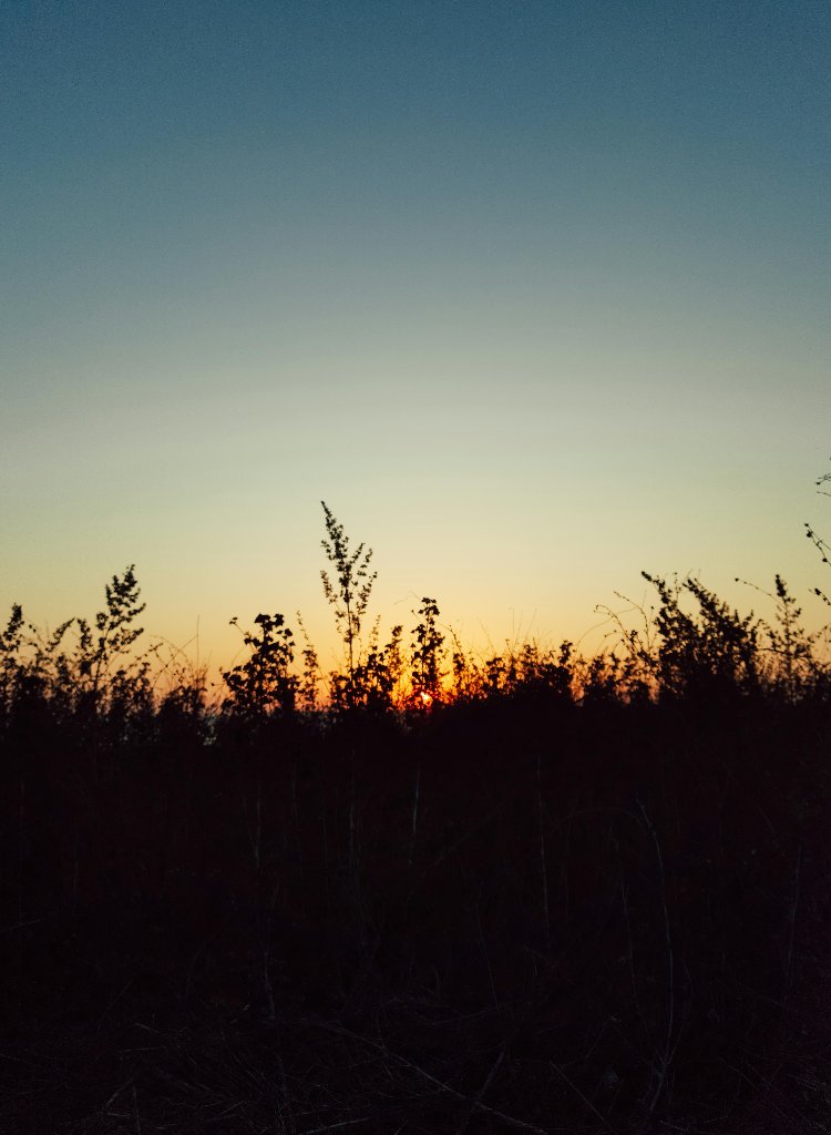 What Happens to My Land After I Sell It?