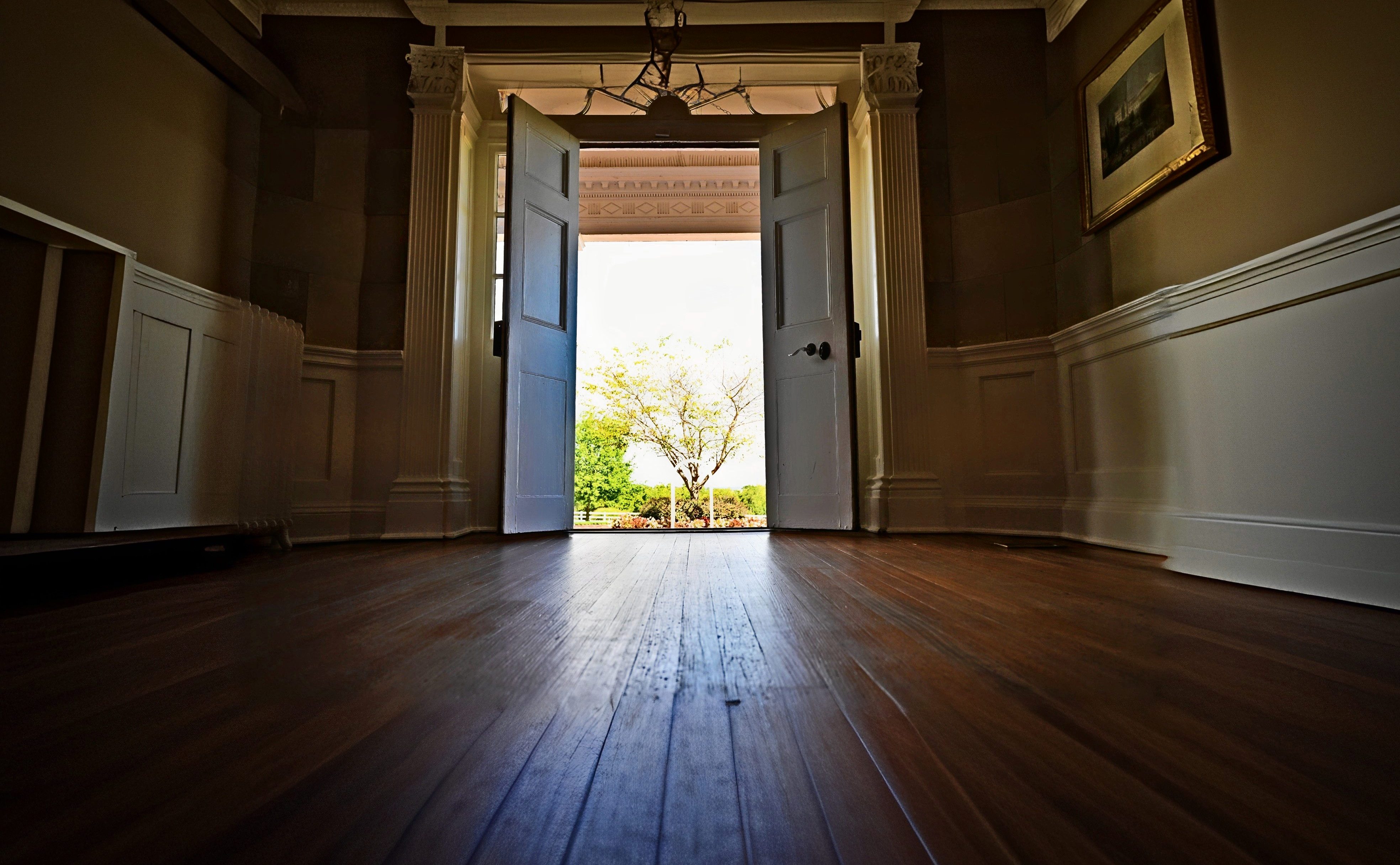 The center hall, looking out toward the grounds — paneled wainscoting typical of the Federal-era Southern manor.