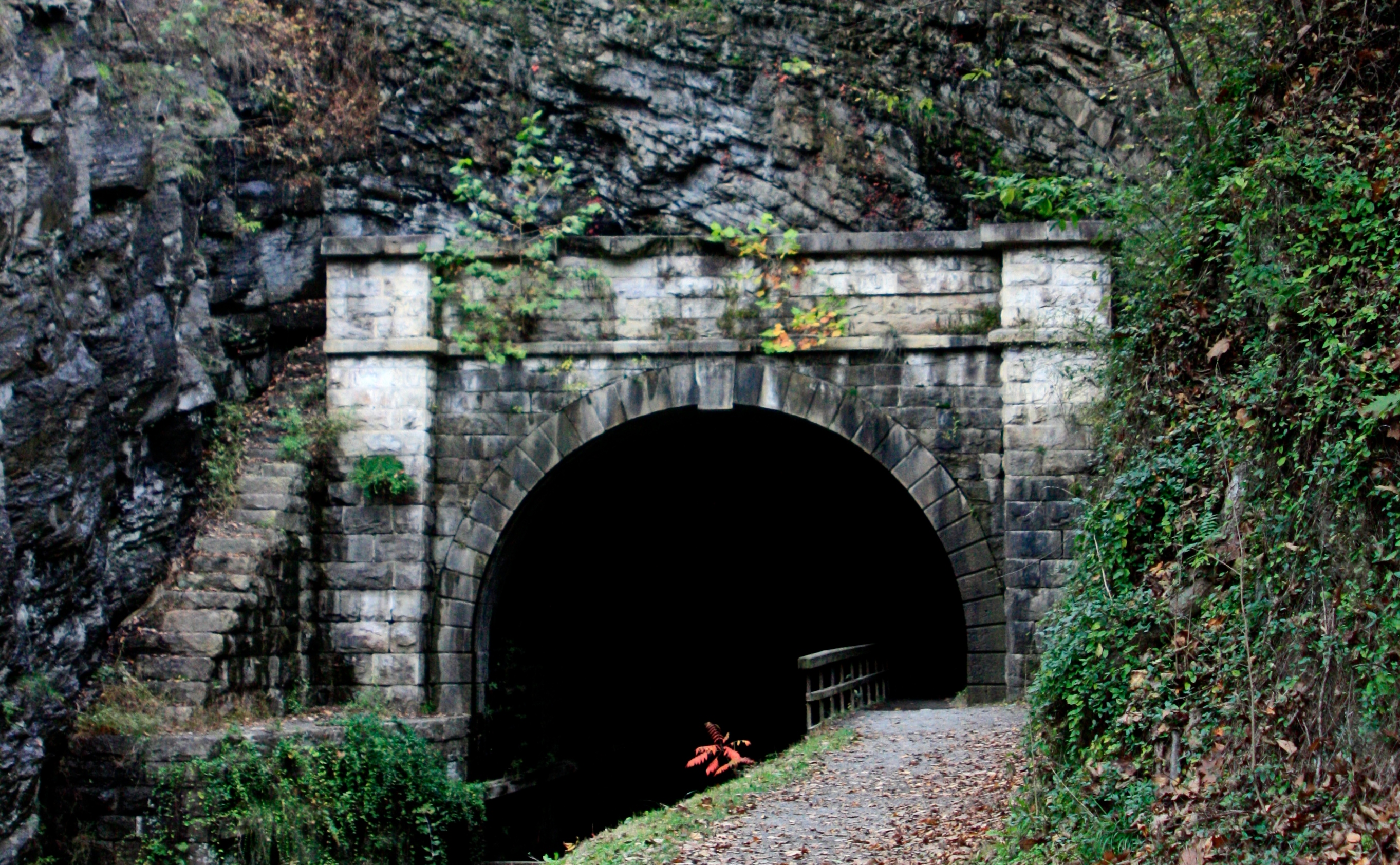 A stone tunnel entrance along the C&O Canal near Harpers Ferry — the waterway Charles Fenton Mercer championed, cut into the cliffside it was built to serve.