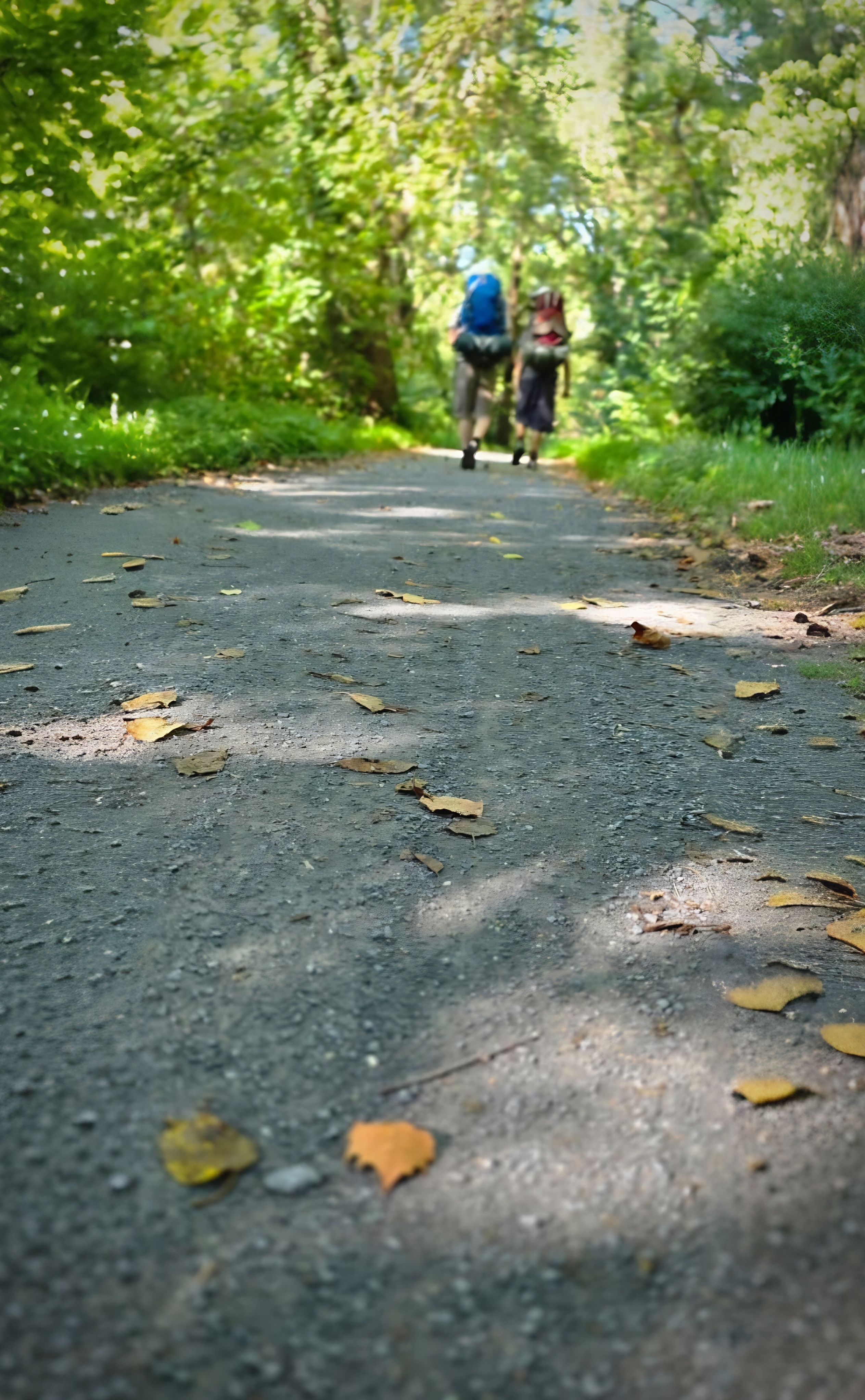 Hikers on the towpath at Brunswick — the gravel lane the mules once walked now inherited by walkers and cyclists, the canopy still filtering the same light.