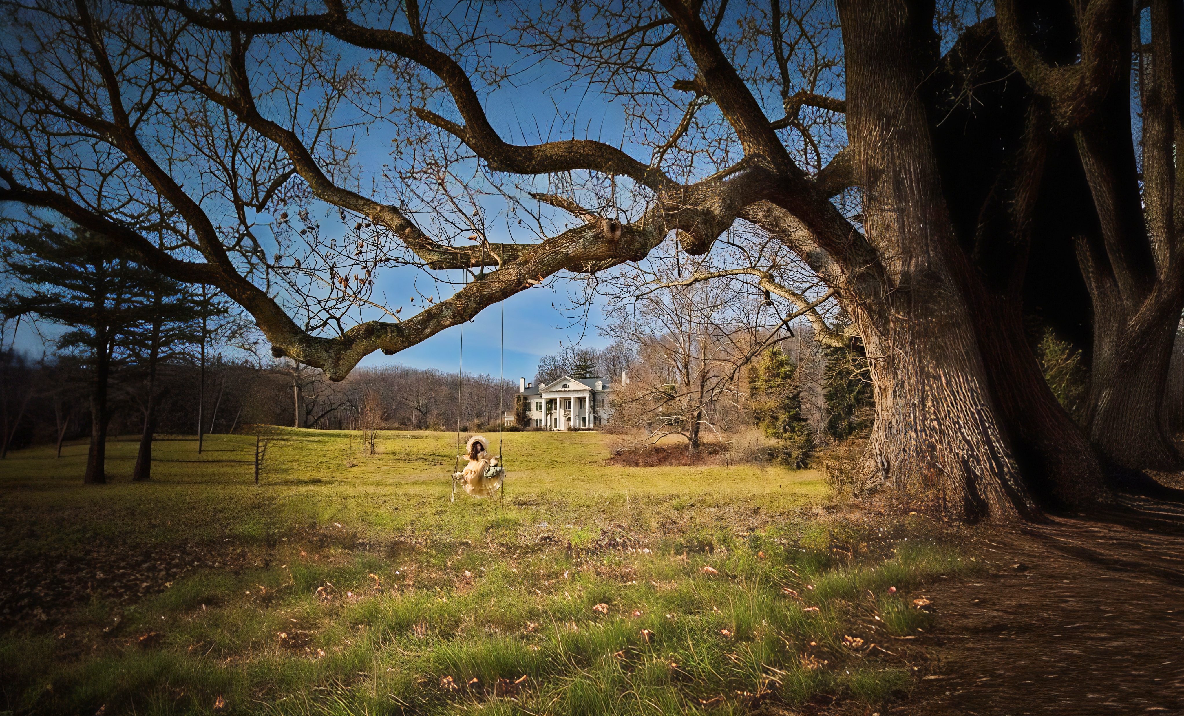Selma Mansion in the distance beyond a meadow and an ancient tree with a swing