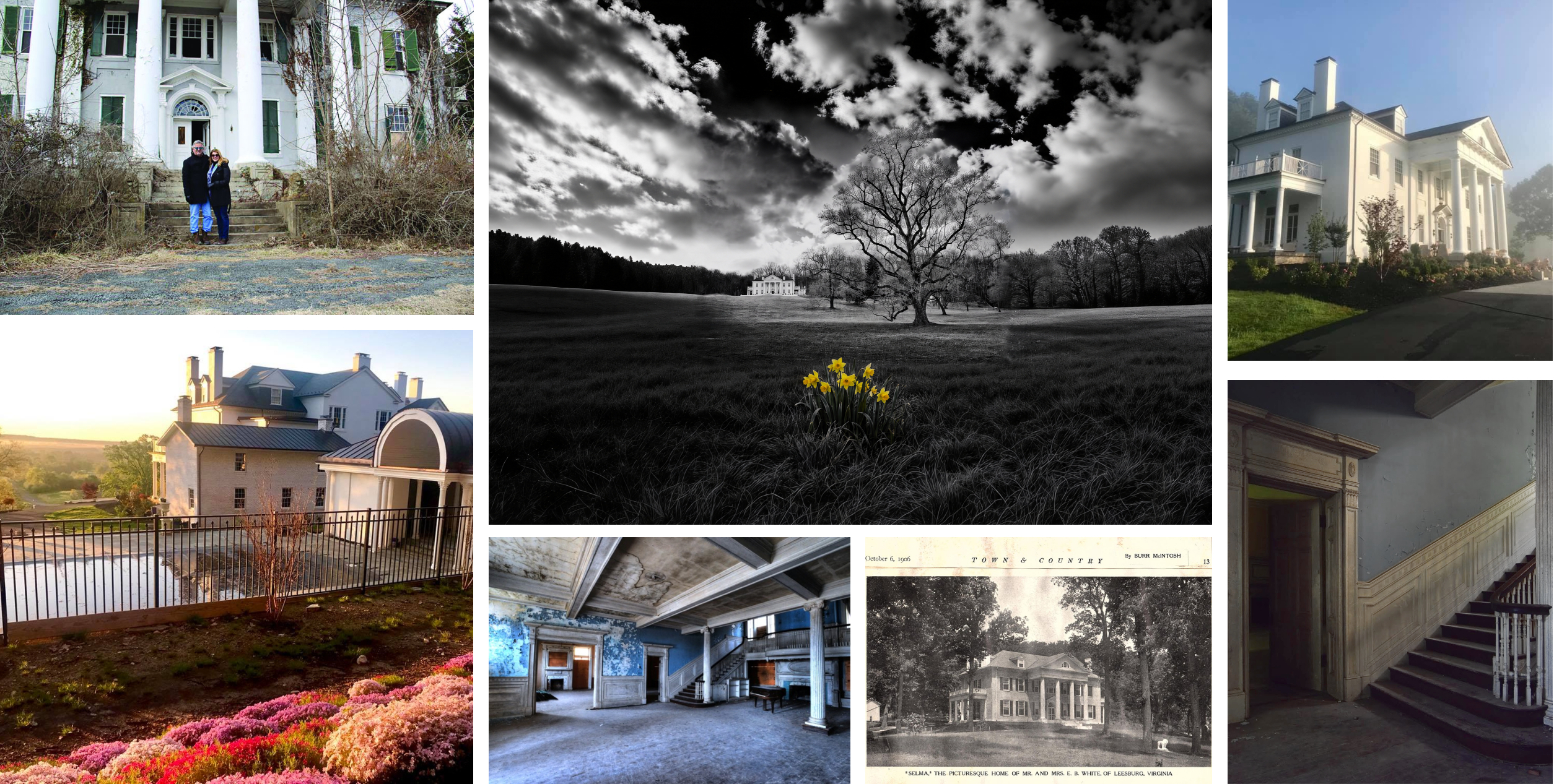 Selma Mansion across the seasons — the couple, the daffodils, the restored rooms, and the 1906 Town & Country portrait