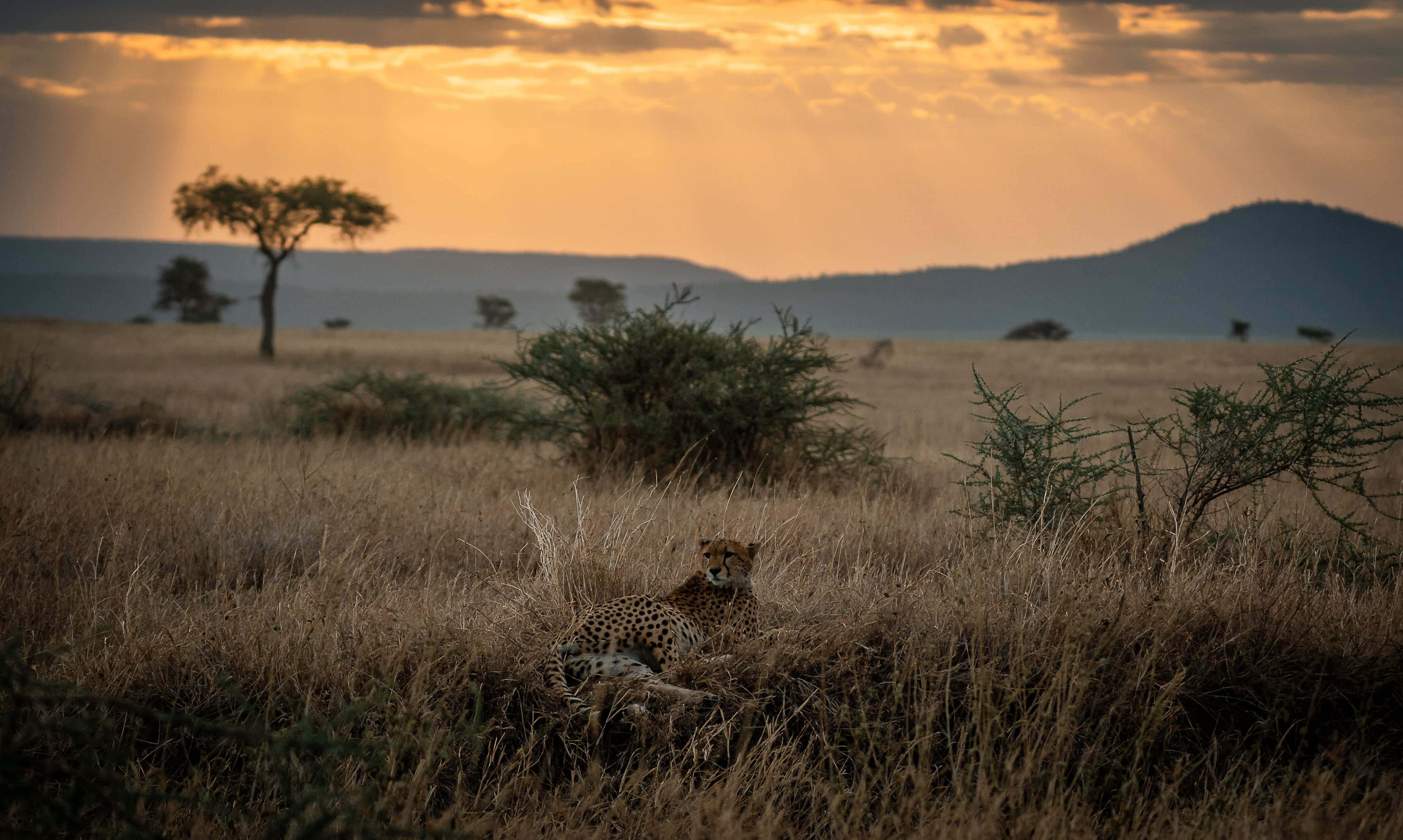Ngorongoro Crater at dawn, Tanzania