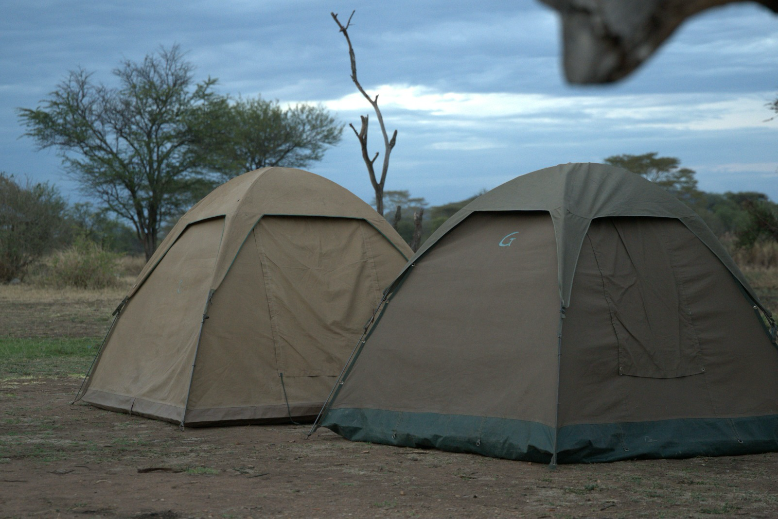 Bronze Camping Safari
