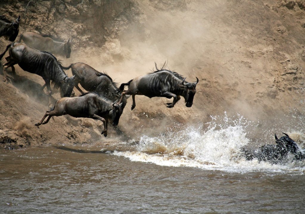 Serengeti National Park, Tanzania