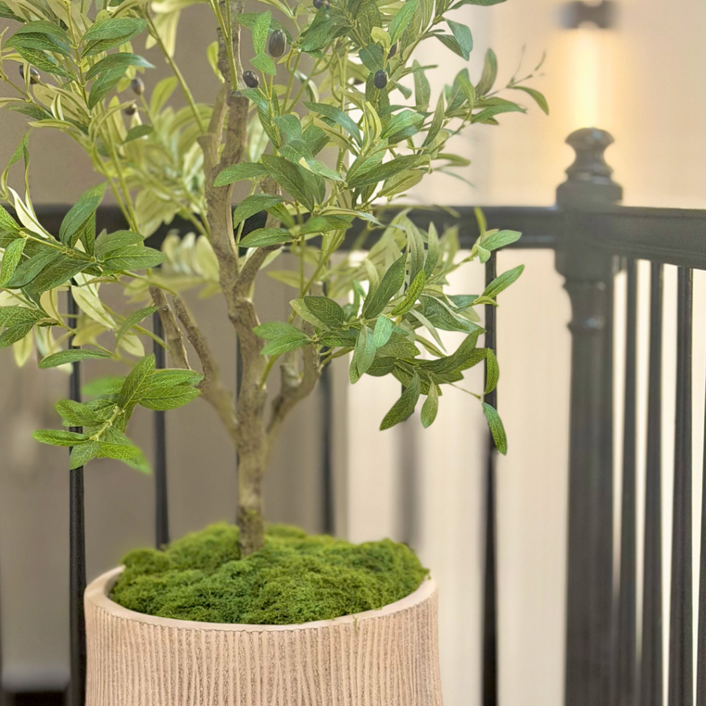 Full-Home Renovation interior