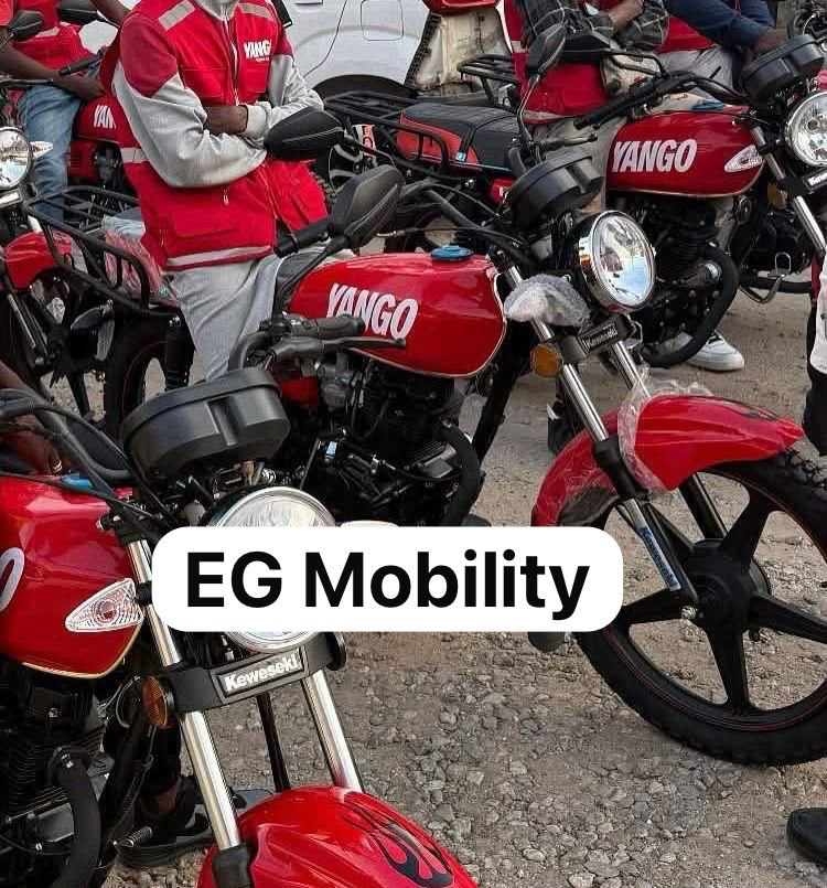 Frota EG Mobility