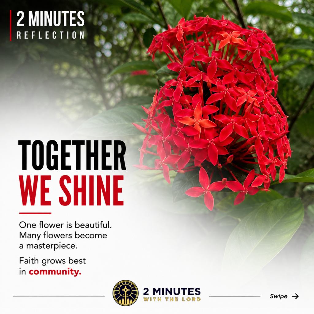 Together We Shine