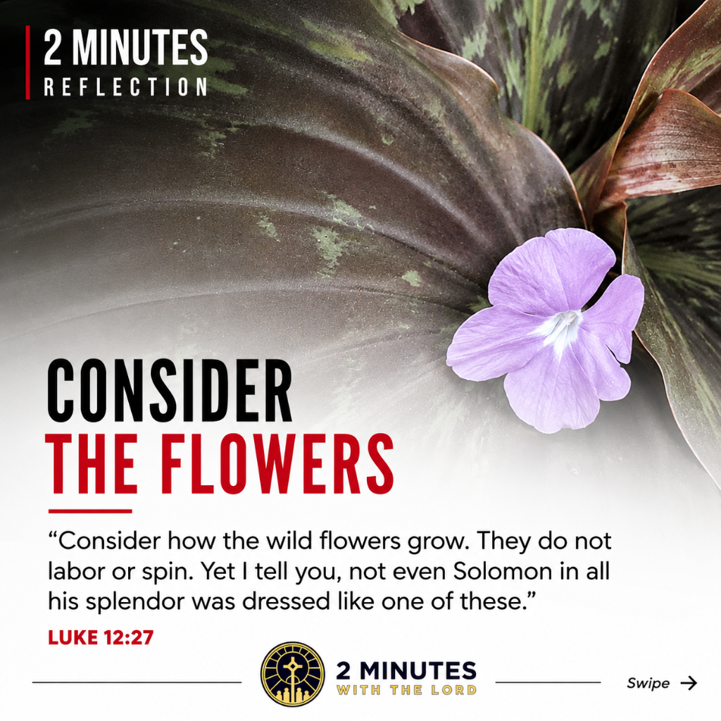 Consider the Flowers