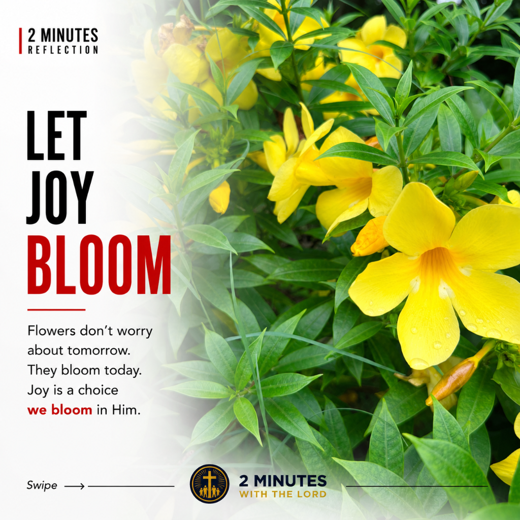 Let Joy Bloom