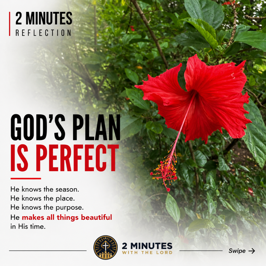 God's Plan Is Perfect