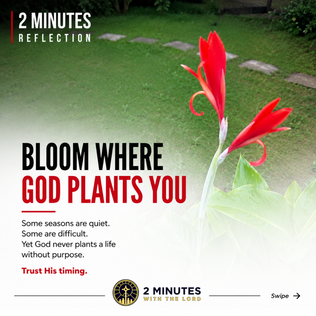 Bloom Where God Plants You