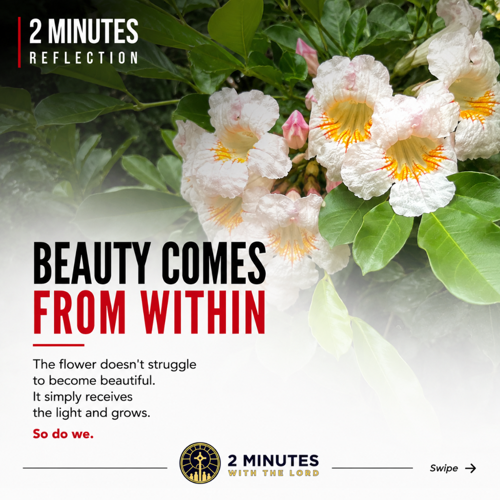 Beauty Comes From Within