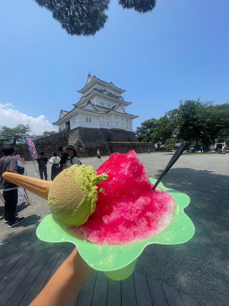 Kakigori and matcha ice cream at a Japanese castle