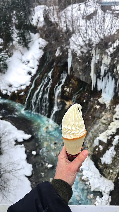Central Hokkaido Girls Trip