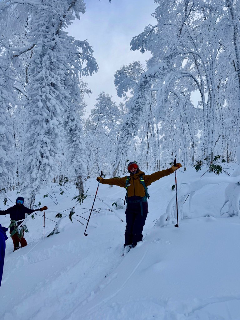 Skiers in snow-covered forest, Hokkaido