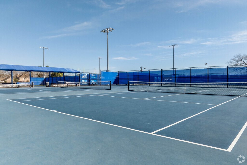 Tennis court action