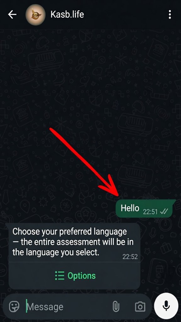 WhatsApp chat with Kasb AI