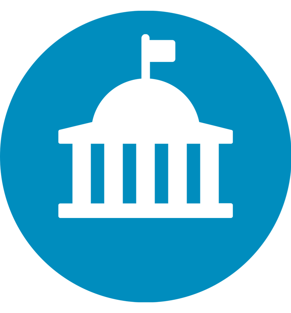Government Official