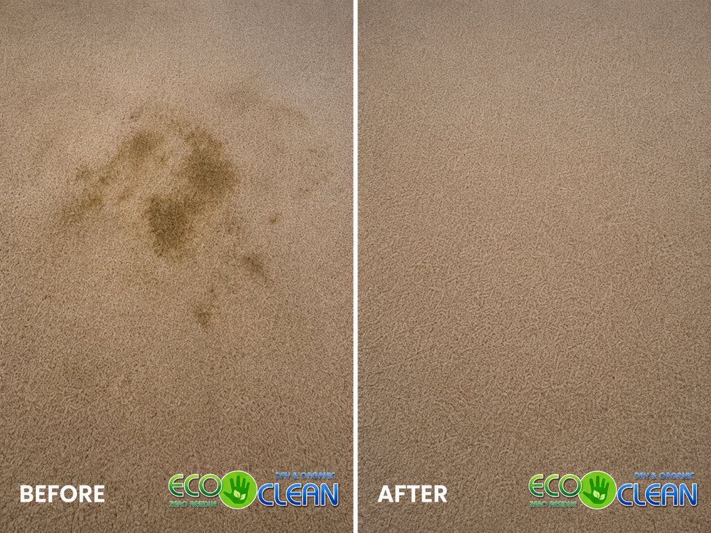 Before and after - Stain Removal