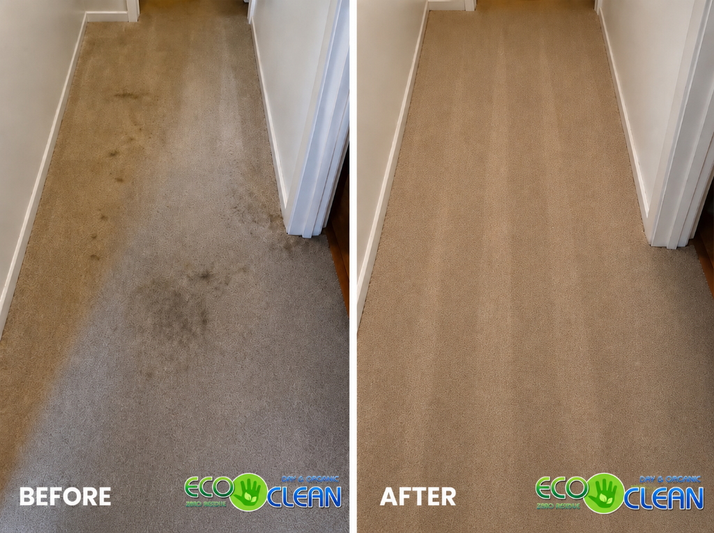 Before and after - Hallway Deep Clean