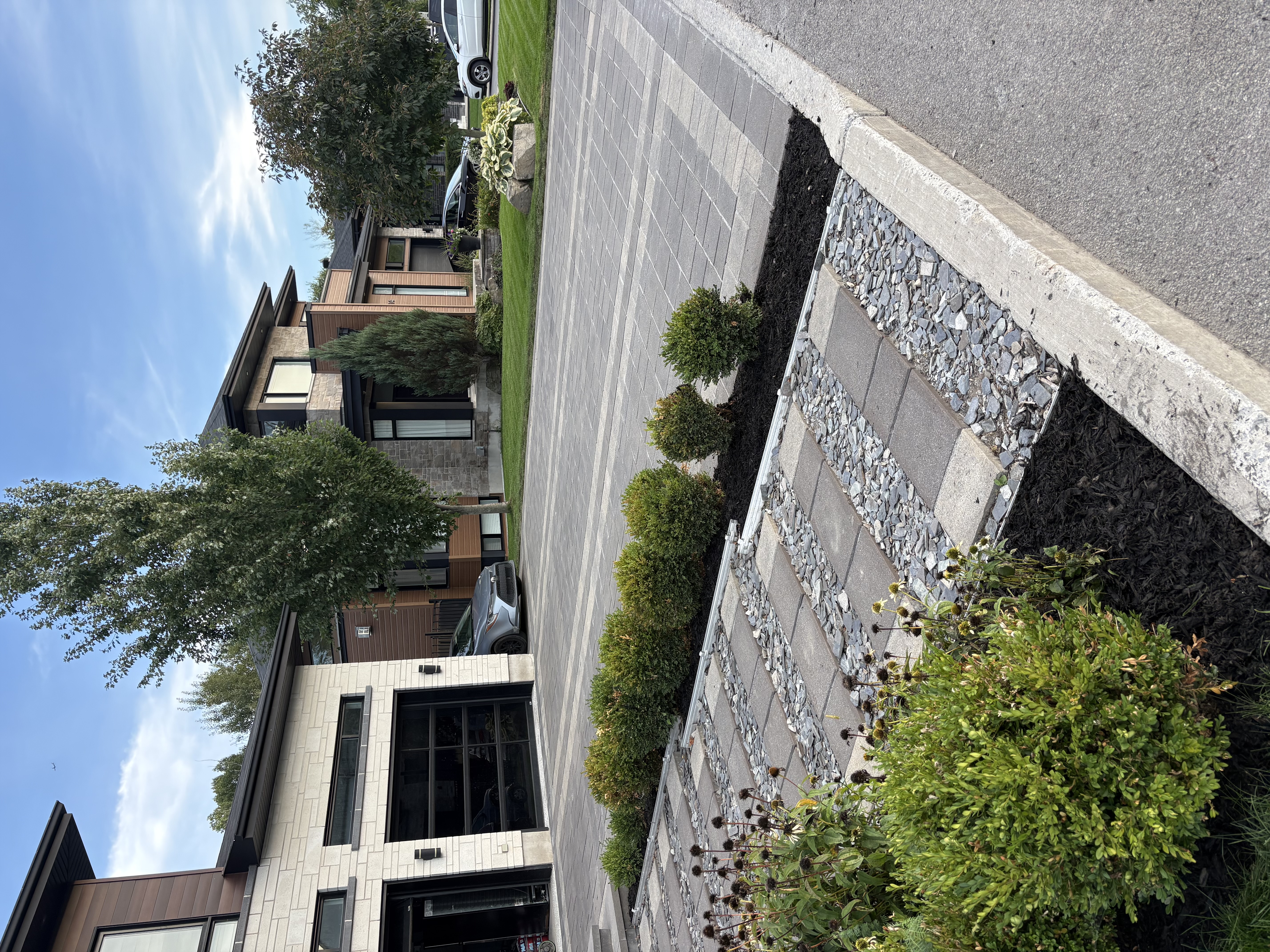 Sentier pavé avec bordure de buis — maison moderne