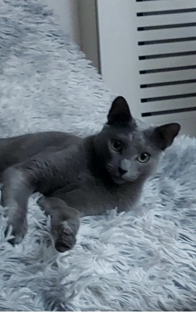 Portrait of Umi